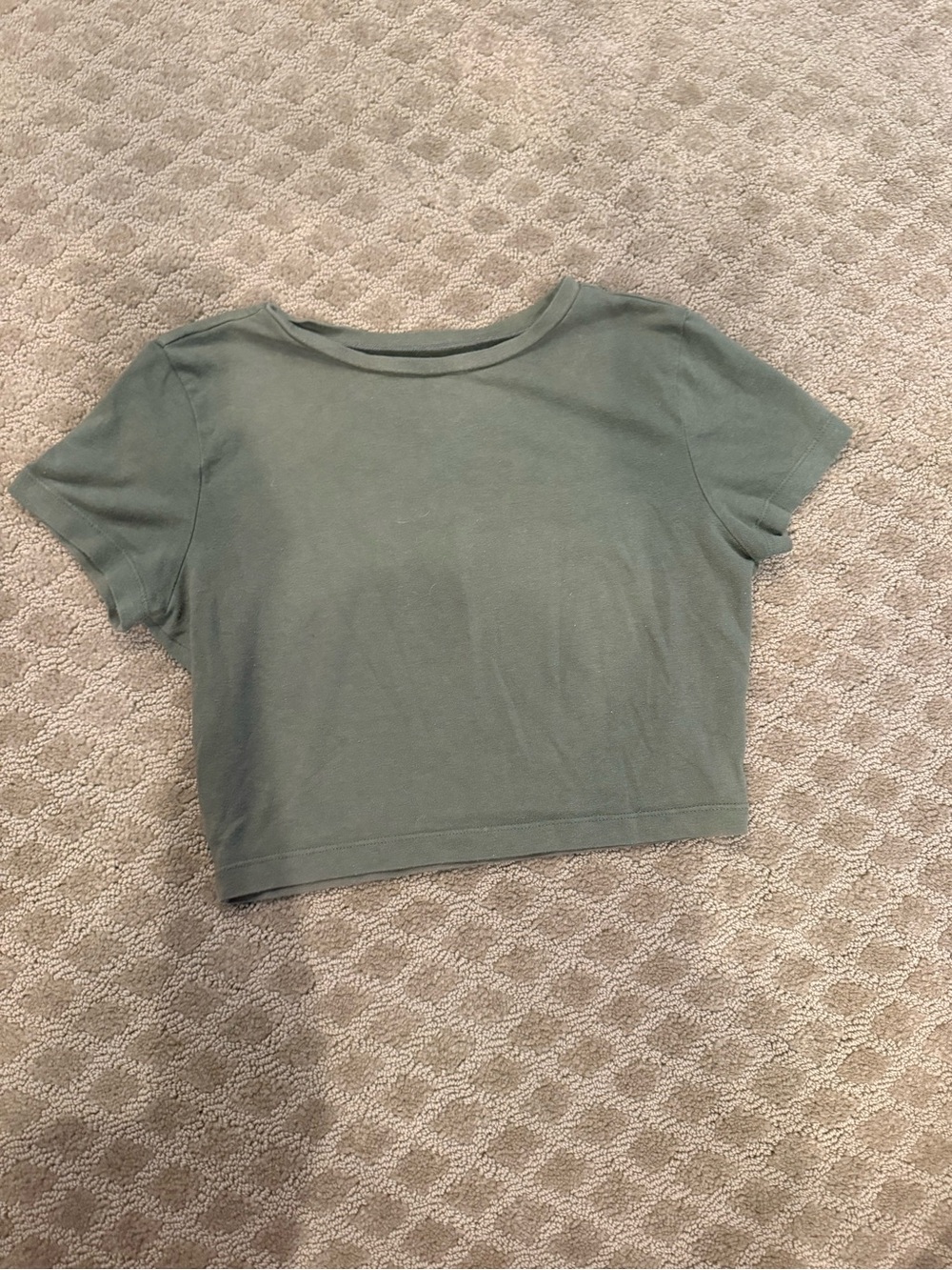 wild fable Olive Green Cropped Tee